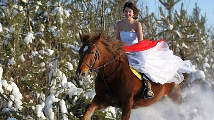 На коне в снегу. Фотосессия с лошадью зимой. Фотосессия с лошадьми. Девушка на коне зимой. Девушка на лошади зимой.