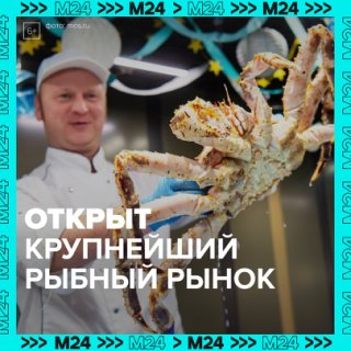 В Москве открыли рыбный рынок «Москва — на волне» — Москва 24