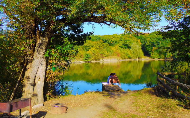 Картинки по запросу отдых в лесу
