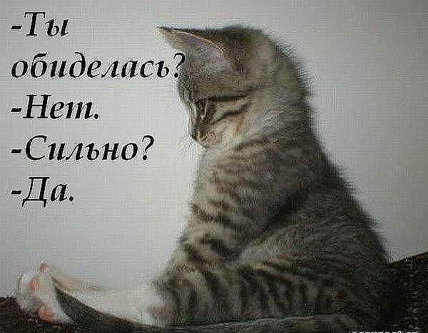 Кто сказал "Мяу"?