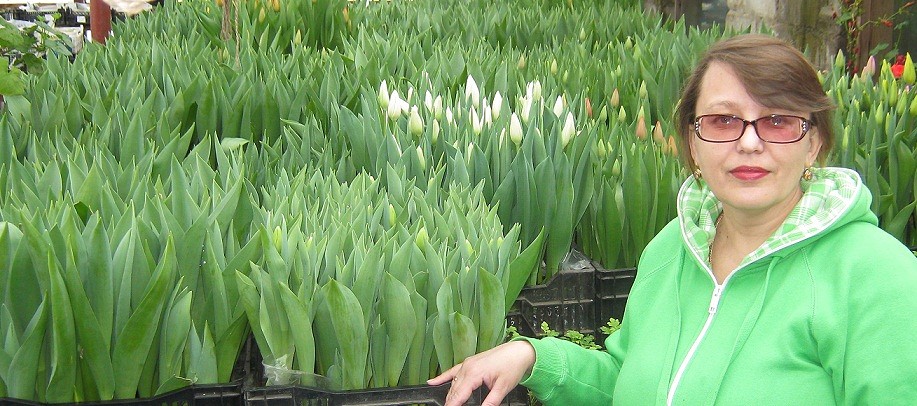 Сажаем, растим, собираем урожай…