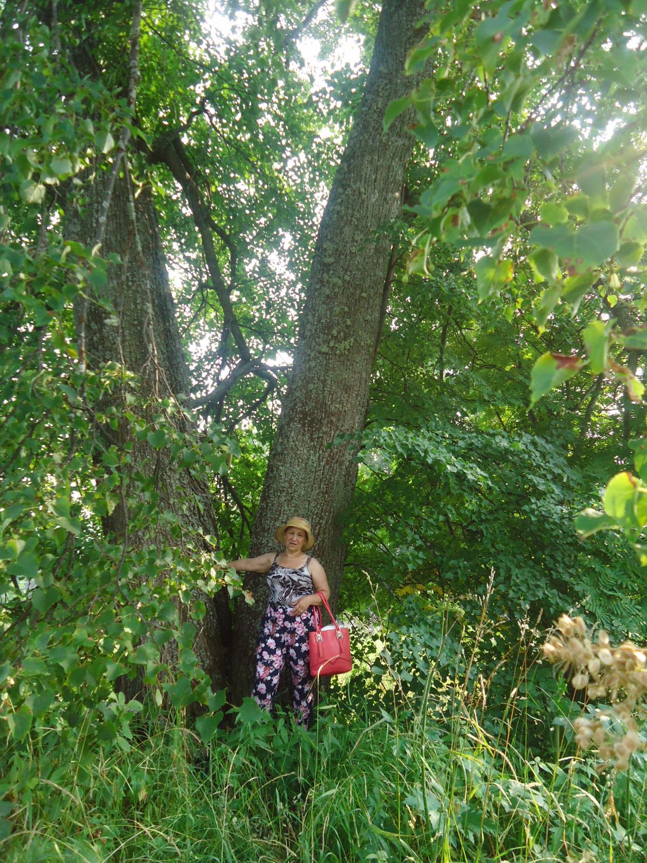 image?t=3&bid=838177458320&id=837377774480&plc=WEB&tkn=*BD8__4YpZZKpnJoDC2RFiU3nPdg