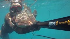 spearfishing israel red grouper 6kg подводная охота израиль ...