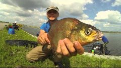 Огромный лещ съел рыболова! Big bream eats fisherman!