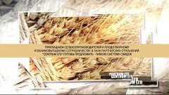 Презентация Пшеницы - компания ООО &quot;ЦЕНТРУМ ЛТД&quot; (by PRO1OO)