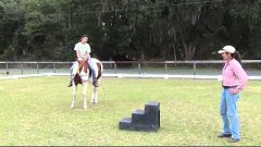 Re-starting the unconfident riding horse, part VI