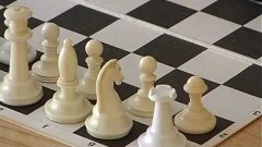 Чемпіонат міста з шахів серед шкіл