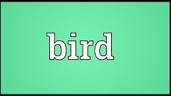 Bird Meaning