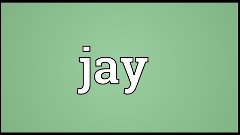 Jay Meaning