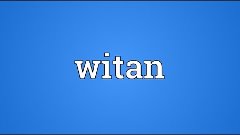 Witan Meaning
