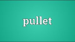 Pullet Meaning