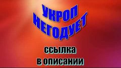 УКРОП НЕГОДУЕТ! (Обзор Японского Энергетика!)