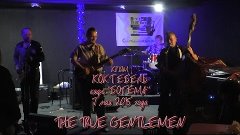 THE TRUE GENTLEMEN - Toxic. Коктебель - Богема - Крым 2015