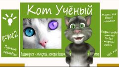 Кот Ученый   Сколько цветов различают кошки