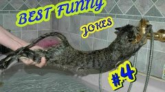 Best funny jokes 4