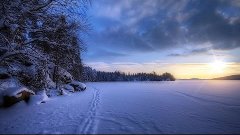 Зимний одиночный поход с ночевкой в лесу | Снегоходная колея...