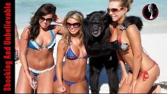 Affe und Mädchen - Funny Love