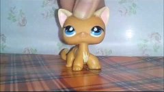 LPS:приз немного изменились