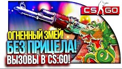 ОГНЕННЫЙ ЗМЕЙ БЕЗ ПРИЦЕЛА! - CS:GO ВЫЗОВЫ #28