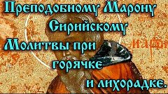 49.Преподобному Марону Сирийскому.  Молитвы при горячке и ли...