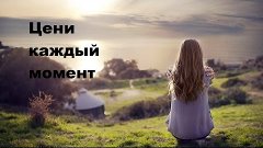 Цени каждый момент своей жизни// Моя Собака