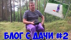 Блог с дачи #2