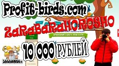 10 000 рублей завел в ОХ.....Ю ИГРУШКУ #ProfitBirds с #ZaRaB...