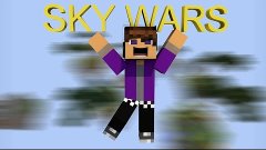 ДА НЕУЖЕЛИ ВЫИГРАЛ! [ Minecraft SkyWars Mini Game]