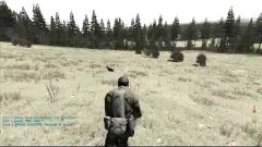 DayZ - Верхом на собаке