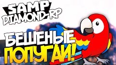 Бешеные Попугаи! - SAMP (DIAMOND-RP) #3