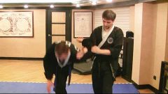 Russian Hapkido/ 12 movements of Master Myun - part 1
