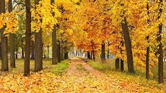 Осенний парк(гр.Ласковый май)-Бабанаков Александр