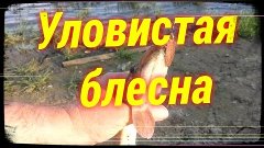 Уловистая супер блесна.Щука.Окунь.Судак.Голавль.