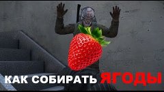 DAYZ STANDALONE Урок Выживания №11 - Ягоды - Как собирать яг...