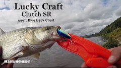 Ловля жереха осенью на воблер. Clutch SR от Lucky Craft