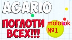 Мой первый опыт в игре AGARIO