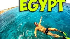 КРАСНОЕ МОРЕ - ЕГИПЕТ  RED SEA - EGYPT - SHARM EL SHAIK