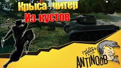 Крыса-читер из кустов World of Tanks (wot)