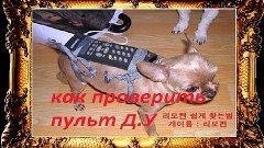 Как просто проверить пульт Д У, рабочий или нет!!!!!!!!!!!!!