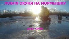 ВОТ ЭТО РЫБАЛКА.ЛОВЛЯ ОКУНЯ НА МОРМЫШКУ.РЕКА СУЛА. CATCHING ...