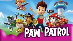 Paw Patrol 3D Pups Save The Day Gameplay