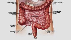 Очищение организма! Очистка кишечника - чистка соленой водой...