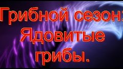 Грибной сезон. Ядовитые грибы.