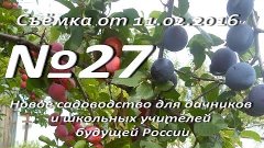 В. Железов &#39;&#39;Новое садоводство для дачников и школьных учите...