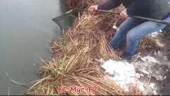 EL Mус Tv●Чеченцы на реке ловят много рыб