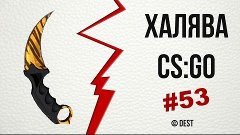 #53 - ХАЛЯВА CS:GO | Внеси скин первым и получи приз до 5к р...