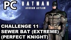 Batman Arkham Asylum Challenge11 Sewer Bat (Extreme) (Perfec...