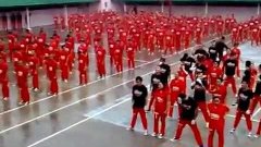 Флешмоб под PSY -- Opa, Gangnam style