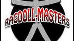 Ragdoll Masters v3.1 №2