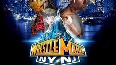 WWE WRESTLEMANIA 29 REPLICA POSTER